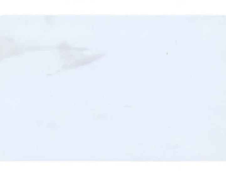 Goodsense ARBESCATO · JXX-8002